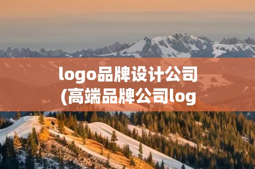 logo品牌设计公司(高端品牌公司logo设计)